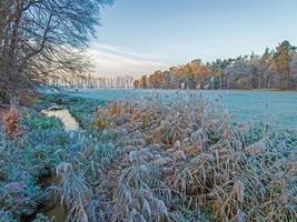 Image of a stream flowing through a winter forest photo