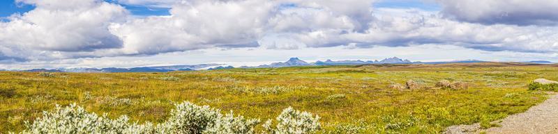 vista panorámica sobre el amplio veld del sur de islandia en verano durante el día foto