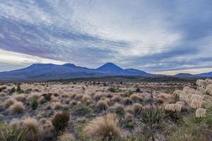 Picture of Mount Ngauruhoe and Mount Ruapehu in the Tongariro National Park on northern island of New Zealand in summer photo