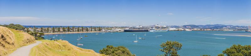 View on harbor and cruise ship terminal of Tauranga city on northern island of New Zealand in summer photo