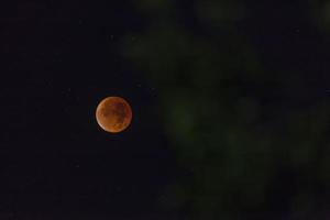 toma nocturna de la luna de sangre en el eclipse lunar foto