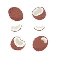 Set of textured whole and slice of coconuts vector