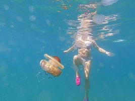 Medusas acanaladas de colores se acercan peligrosamente a un nadador foto
