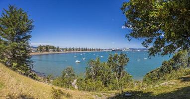 View on harbor and cruise ship terminal of Tauranga city on northern island of New Zealand in summer photo