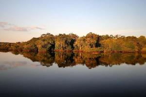 Reflection of a forest in a lake during the day photo