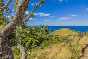 View over cliffy shore of Te Whanganui-A-Hei Marine Reserve on Northern island in New Zealand in summer photo