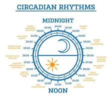 ritmo circadiano. esquema del ciclo sueño-vigilia. elementos infográficos. vector