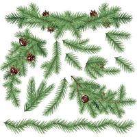 Set of Realistic Fir Branches Isolated on White. Christmas Tree. vector