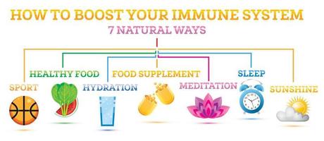 How to Boost Your Immune System. Infographic Elements. vector