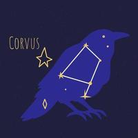 constelación de corvus, forma de estrella en forma de pájaro vector