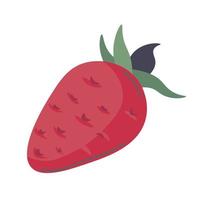 Sweet strawberry fruit, summer berries vector