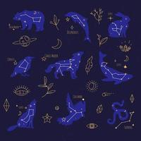 Constellations celestial bodies signs at night sky vector