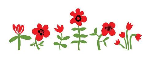 Blooming wildflowers, flourishing plants blossom vector