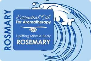 aceite esencial de romero para vector de aromaterapia
