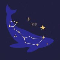 Constellation of cetus, star formation or pleiad vector