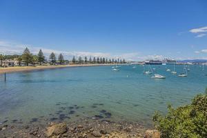 View on harbor and cruise ship terminal of Tauranga city on northern island of New Zealand in summer photo