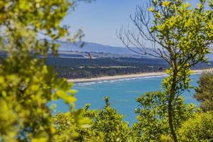 View from Mount Mainganui to Matakana Island on northern island of New Zealand in summer photo