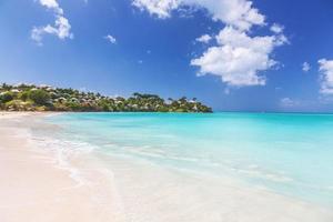 View on tropical beach on the caribbean island St. Maarten during daytime photo