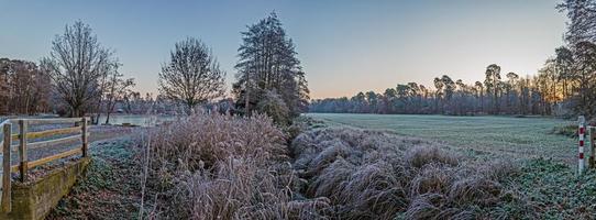 imagen del bosque invernal cubierto de hielo por la mañana al amanecer foto