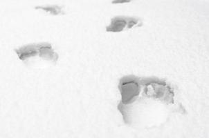 huellas de pies humanos descalzos en la nieve blanca de cerca foto