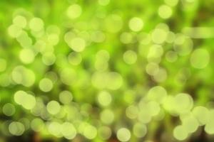 Abstract bokeh with blur reflection lighting on green color background. photo