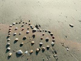 closeup Sea shell make arranged hearts shape on gray sand beach with sun light on summer photo