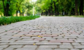 walkway with a tile in the park close up photo