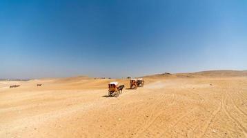 horse cart in egypt desert photo