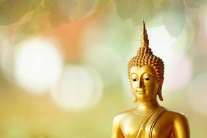 Buddha statue. background blurred flowers and sky with the light of the sun.Makha Bucha Day.Vesak Day.Asanha Bucha.Buddhist Lent. photo