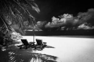 Black and white view of beautiful beach with palm tree leaves, dramatic dark sky white soft sand. Exotic monochrome panorama. Couple meditation inspiration landscape, paradise beach tranquil minimal photo