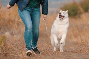 mujer en jeans se divierte caminando con un perro husky en el parque foto