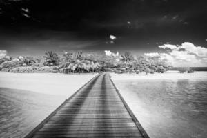 Black and white wooden bridge into paradise island. Tropical coast landscape, palm trees white sand exotic lagoon sea bay in dramatic monochrome. Tranquil travel background, minimal dark toned style photo