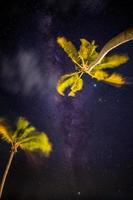 toma nocturna con palmeras y vía láctea en el fondo, noche cálida tropical. vista pacífica de la naturaleza nocturna, estrellas y palmeras moviéndose en el viento