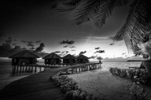 Black and white wooden bridge into paradise island. Tropical coast landscape, palm trees white sand exotic lagoon sea bay in dramatic monochrome. Tranquil travel background, minimal dark toned style photo