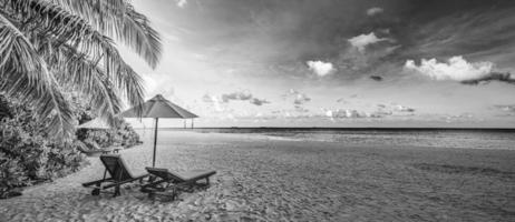 Black and white view of beautiful beach with palm tree leaves, dramatic dark sky white soft sand. Exotic monochrome panorama. Couple meditation inspiration landscape, paradise beach tranquil minimal photo