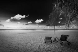 Black and white view of beautiful beach with palm tree leaves, dramatic dark sky white soft sand. Exotic monochrome panorama. Couple meditation inspiration landscape, paradise beach tranquil minimal photo