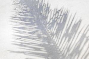 Beautiful coco palm shadow. Tropical beach nature, exotic landscape. Wonderful scenery as summer beach background