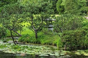 Beautiful landscape view in Japanese traditional botanical decorative garden. Calm nature scene of green summer lake pond water and pagoda lantern. Zen, meditation, harmony concept photo