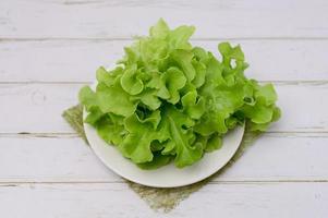 ensalada verde roble saludable comida