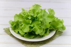 Salad green oak healthy food photo