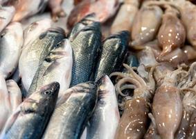 fresh fish at the fish market photo