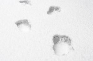 huellas de pies humanos descalzos en la nieve blanca de cerca foto