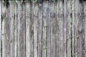 texture old fence of wooden boards photo