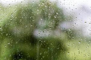 textura de una gota de lluvia sobre un vaso sobre un fondo de hojas verdes de un árbol foto