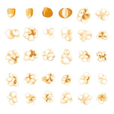 Popcorn kernel types and process of popping vector