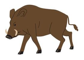 Forest animals, boar tusked wild pig portrait vector