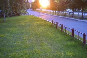 un césped bien cuidado contra el fondo del sol poniente en la ciudad. hierba al sol. precioso atardecer. foto