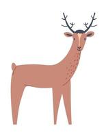 Deer animal, hoofed grazing animal portrait vector