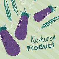 Natural product, eggplant aubergine vegetable vector