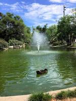 una vista del parque de mónaco foto